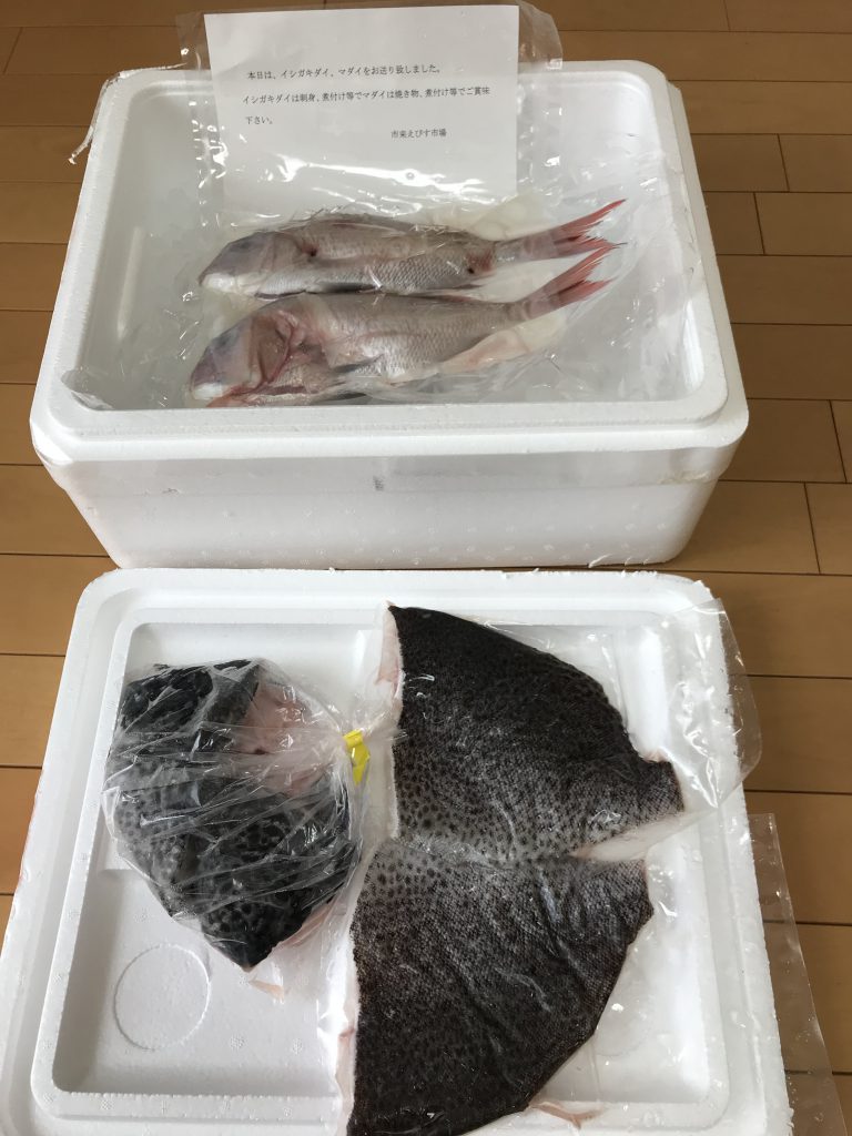 19年ふるさと納税 鮮魚定期便 鹿児島県いちき串木野市 第4回目イシガキダ イに感動した 大人女子の87選