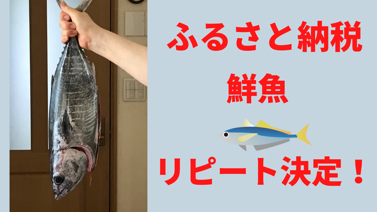 ふるさと納税 おすすめ！鮮魚詰め合わせ高知県須崎市はリピート決定! - 大人女子の87選